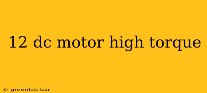 12 dc motor high torque