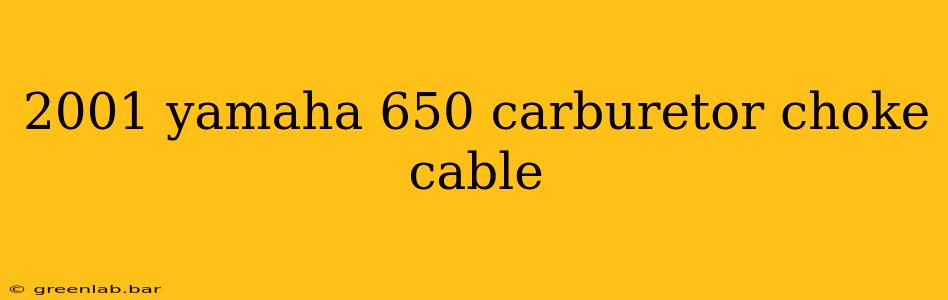 2001 yamaha 650 carburetor choke cable