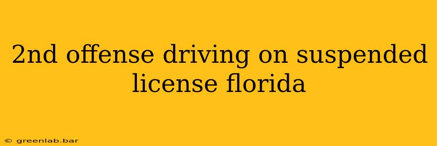 2nd offense driving on suspended license florida