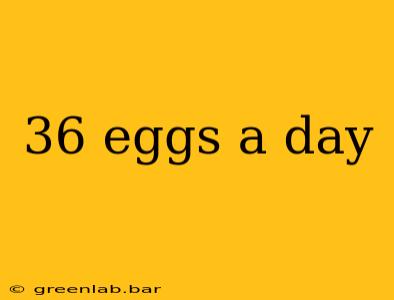 36 eggs a day