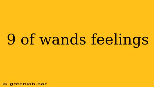 9 of wands feelings