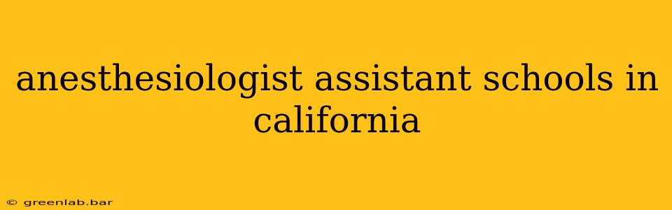 anesthesiologist assistant schools in california