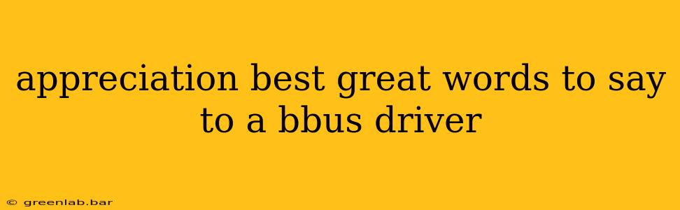 appreciation best great words to say to a bbus driver