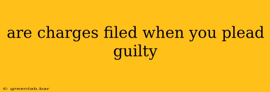 are charges filed when you plead guilty