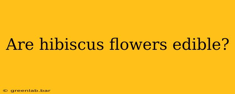 Are hibiscus flowers edible?