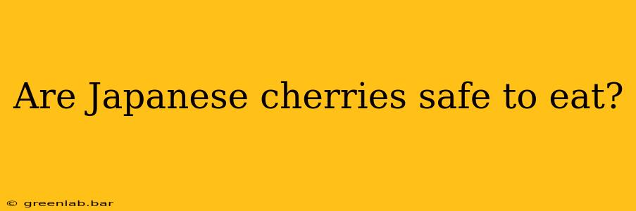 Are Japanese cherries safe to eat?