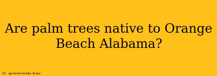 Are palm trees native to Orange Beach Alabama?