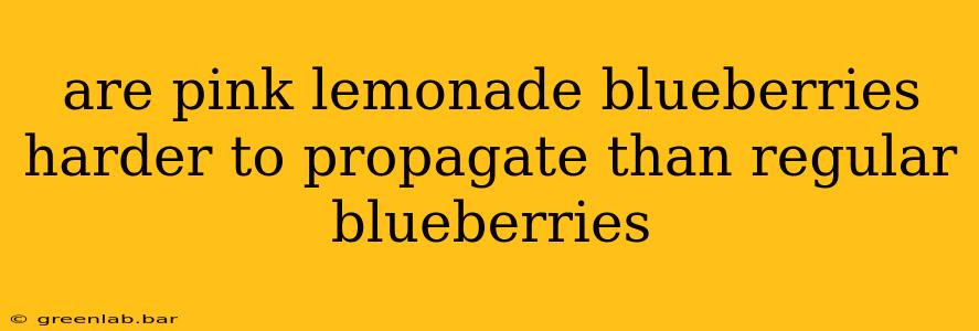 are pink lemonade blueberries harder to propagate than regular blueberries