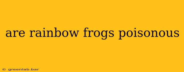 are rainbow frogs poisonous