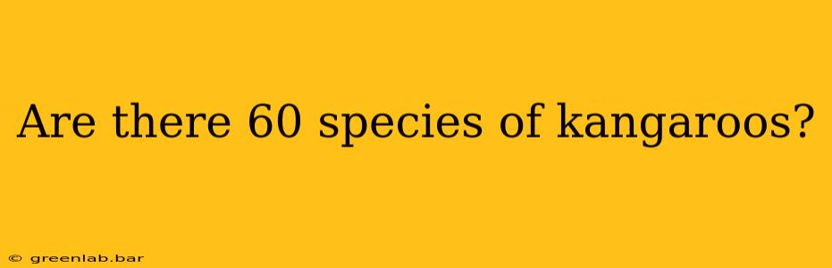 Are there 60 species of kangaroos?