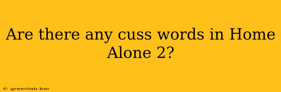 Are there any cuss words in Home Alone 2?