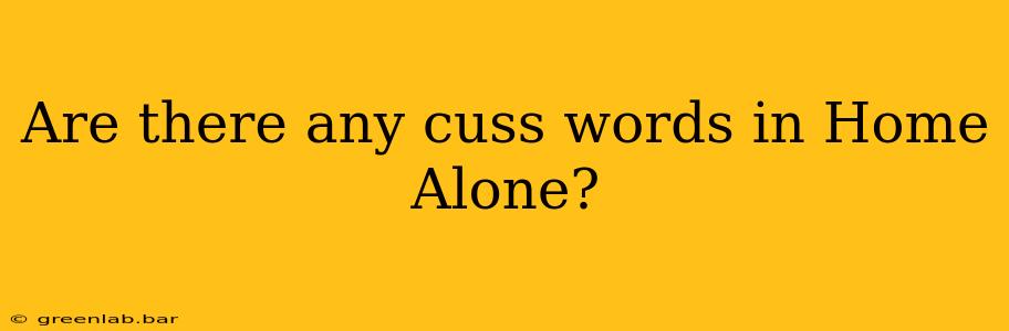 Are there any cuss words in Home Alone?