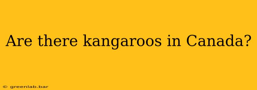 Are there kangaroos in Canada?