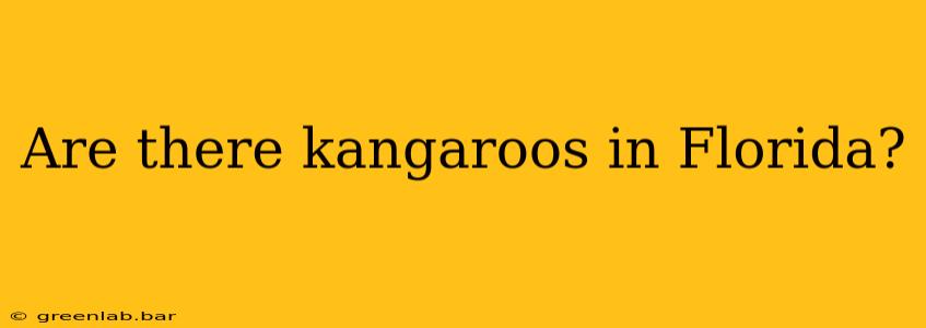 Are there kangaroos in Florida?