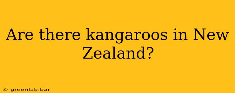 Are there kangaroos in New Zealand?