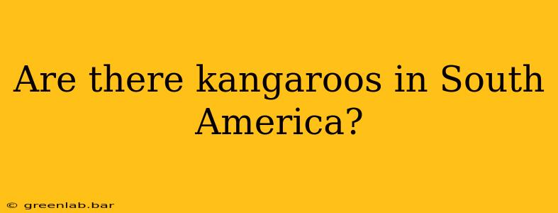 Are there kangaroos in South America?