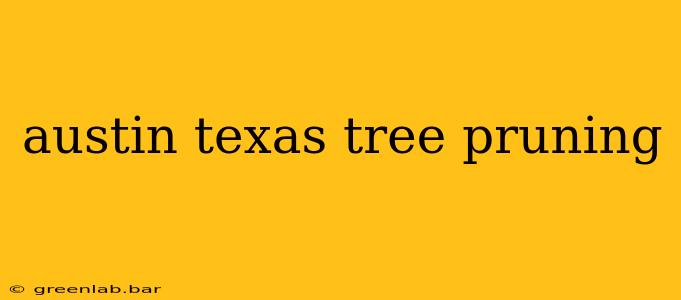 austin texas tree pruning