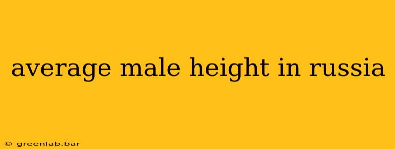 average male height in russia