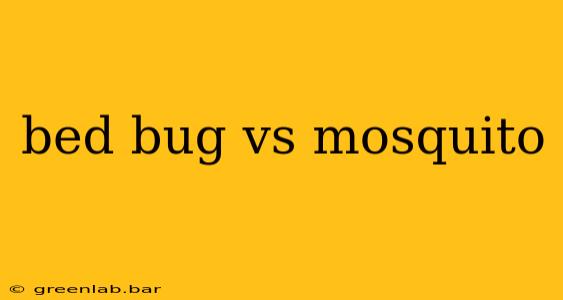 bed bug vs mosquito