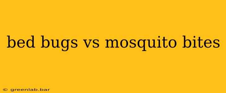 bed bugs vs mosquito bites