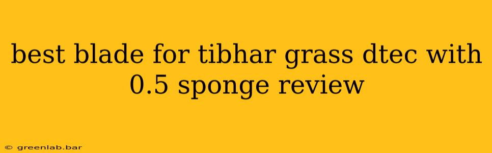 best blade for tibhar grass dtec with 0.5 sponge review