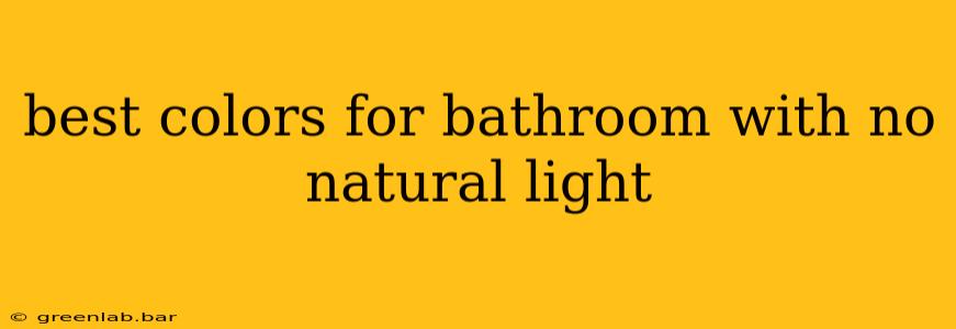 best colors for bathroom with no natural light