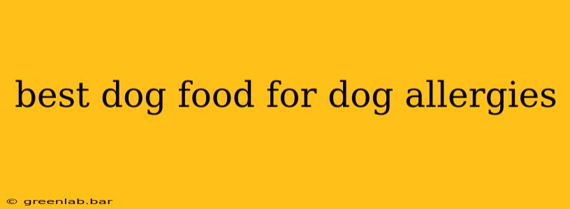 best dog food for dog allergies