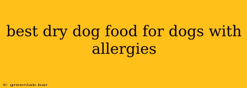 best dry dog food for dogs with allergies