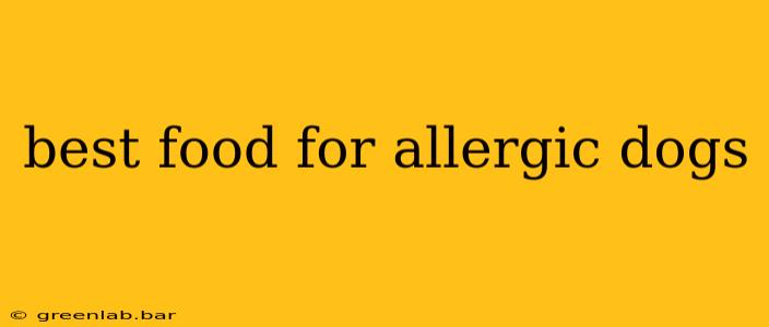 best food for allergic dogs