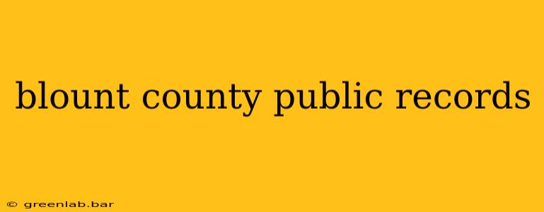 blount county public records