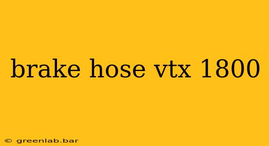 brake hose vtx 1800