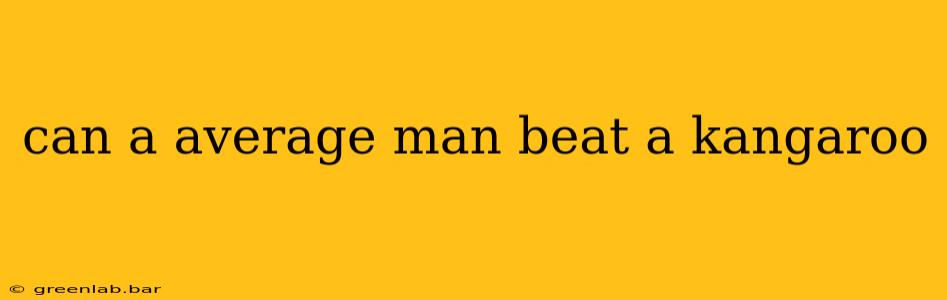 can a average man beat a kangaroo