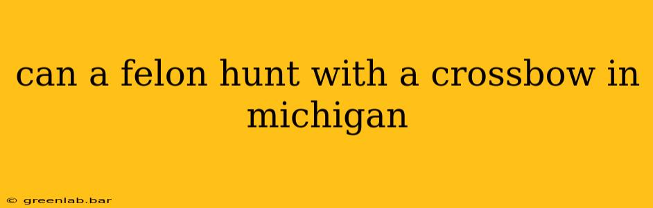 can a felon hunt with a crossbow in michigan