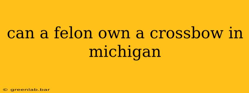 can a felon own a crossbow in michigan