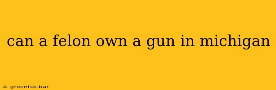 can a felon own a gun in michigan