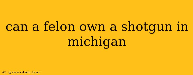 can a felon own a shotgun in michigan