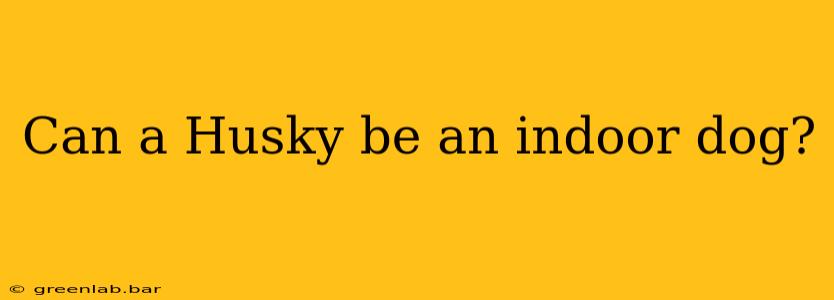 Can a Husky be an indoor dog?