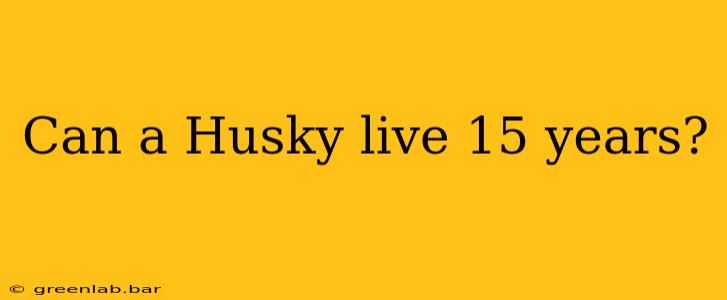 Can a Husky live 15 years?