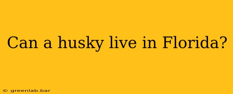 Can a husky live in Florida?