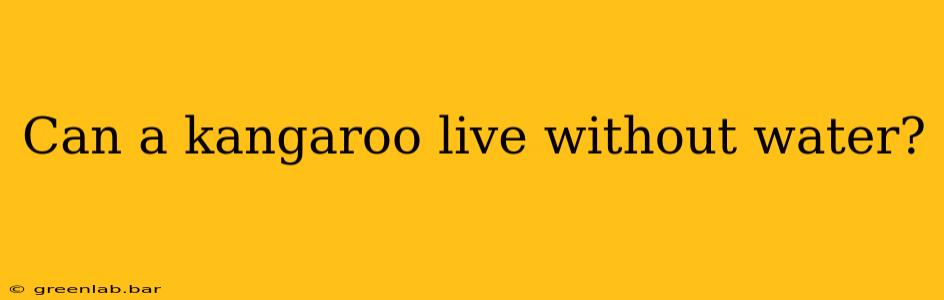 Can a kangaroo live without water?