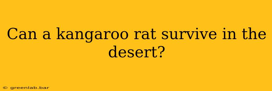 Can a kangaroo rat survive in the desert?