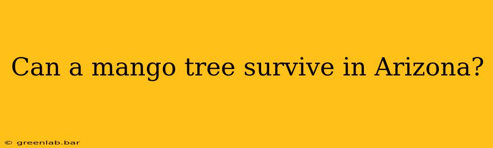 Can a mango tree survive in Arizona?