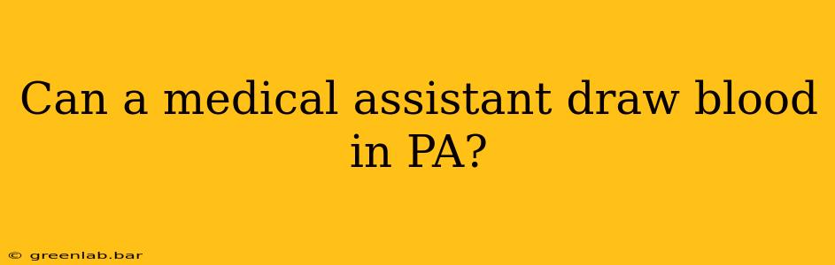 Can a medical assistant draw blood in PA?