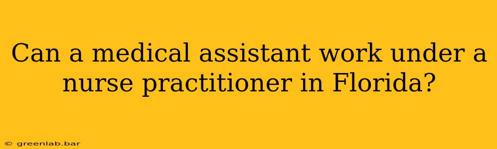 Can a medical assistant work under a nurse practitioner in Florida?