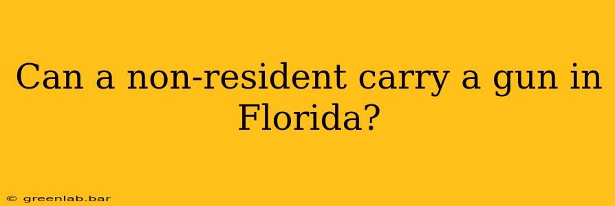 Can a non-resident carry a gun in Florida?