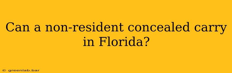 Can a non-resident concealed carry in Florida?