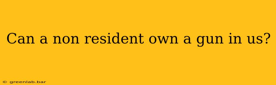 Can a non resident own a gun in us?