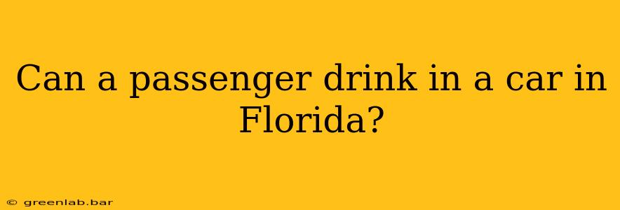 Can a passenger drink in a car in Florida?