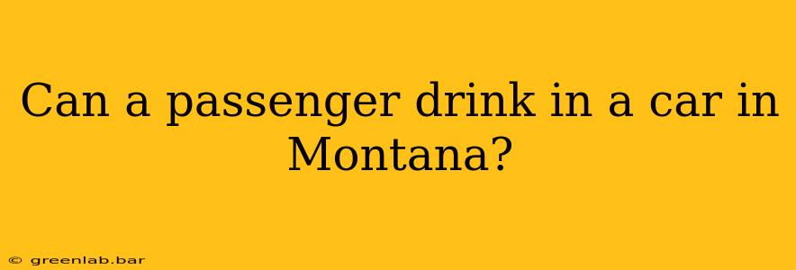 Can a passenger drink in a car in Montana?