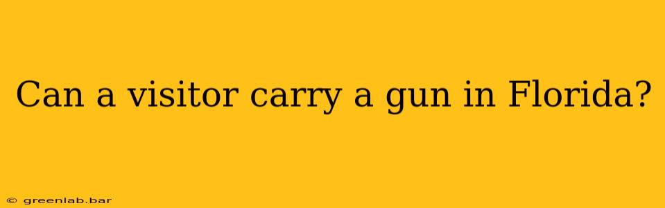 Can a visitor carry a gun in Florida?